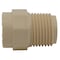 Charlotte Pipe And Foundry Charlotte Pipe FlowGuard Schedule 40 1/2 in. Socket X 1/2 in. D MNPT CPVC Adapter 1 pk CTS021090600 - alternate 5